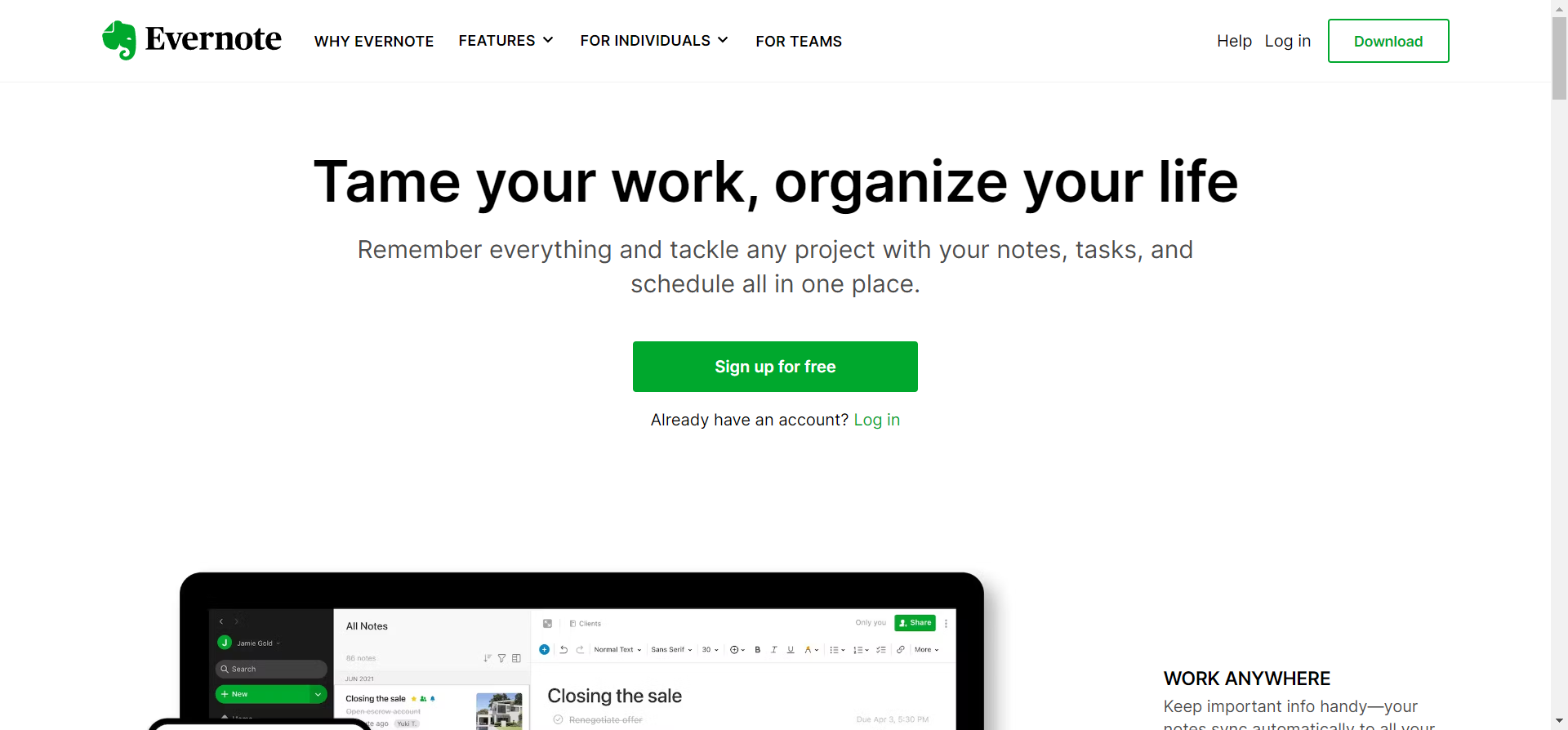 Best SaaS Productivity Tools - Notion